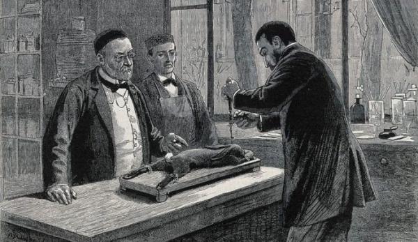 On voit ici Louis Pasteur, père de la théorie des germes, superviser l’injection du virus de la rage dans le cerveau d’un lapin. (Image via wellcomecollection.org / CC BY 4.0)