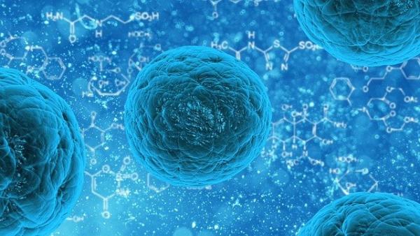 La théorie médicale actuelle soutient que les virus se fixent aux cellules hôtes et les utilisent pour se dupliquer. (Image : PublicDomainPictures / Pixabay)
