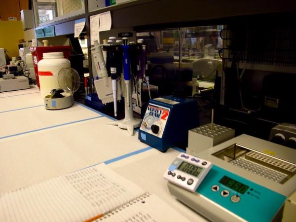 Le PCC peut également avoir pour objectif de « dominer l’industrie biotechnologique » en amassant des données génétiques. (Image :  The genetics lab’ par USFWS Pacific est autorisé sous CC BY-NC 2.0)