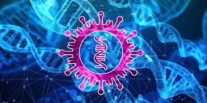 Le virus Covid-19 accélère le développement du vaccin ARNm