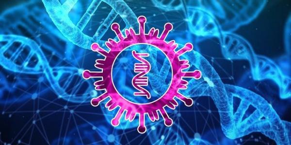 Un virus est principalement composé d’ADN ou d’ARN. (Image : Gerd Altmann / Pixabay)
