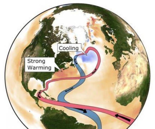 La circulation océanique géante est pertinente pour les modèles météorologiques en Europe et les niveaux régionaux de la mer aux Etats-Unis. Son ralentissement est également associé à une « zone froide » observée dans l’Atlantique Nord. (Image : Levke Caesar)