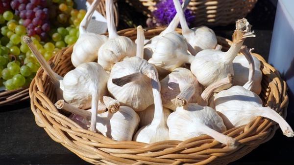 Il est recommandé de consommer des aliments qui favorisent la circulation sanguine, tels que les haricots noirs, l’aubépine, les trémelles, les champignons, le thé vert et l’ail. (Image : Matthias Böckel / Pixabay)