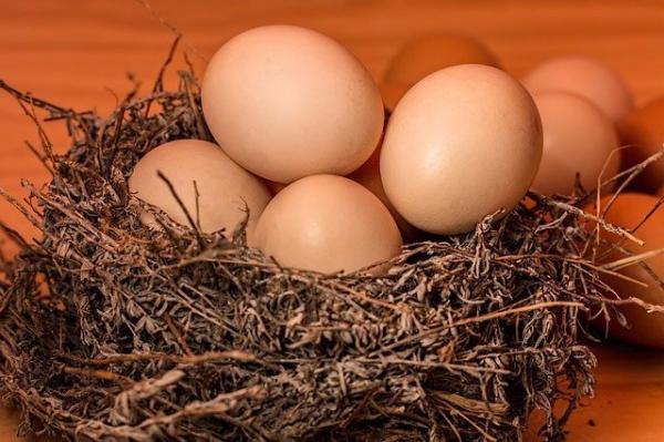 Les œufs sont riches en sélénium. (Image : Steve Buissinne / Pixabay)