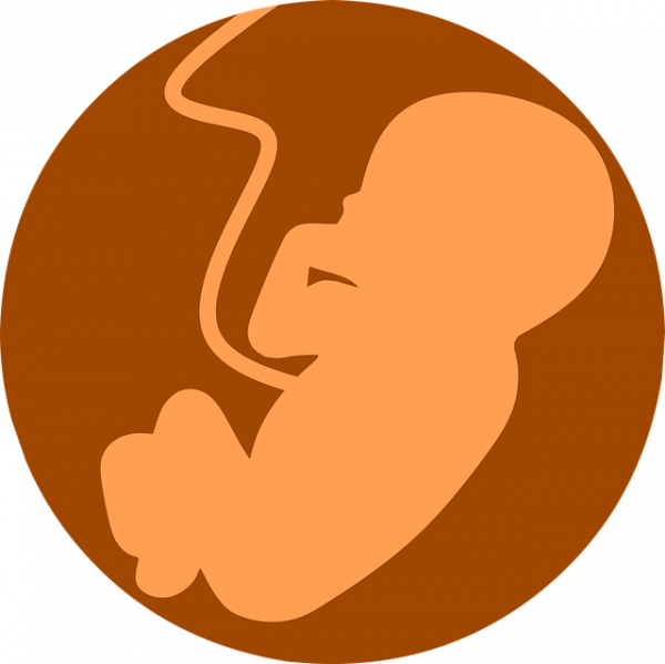 À l’aide d’une simple piqûre, l’enfant a pu sortir du ventre de sa mère. (Image : mohamed Hassan / Pixabay)