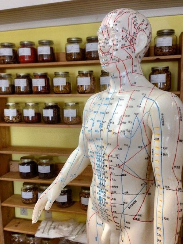Pour Maître Tung, toute l’anatomie du corps peut devenir des images de traitement, car tout est relié. (Image : bekaschiller / Pixabay)