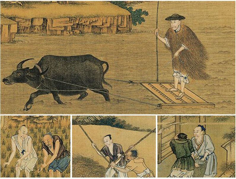 L’empereur Kangxi récupérait des grains de riz par terre : il ne faut pas gaspiller