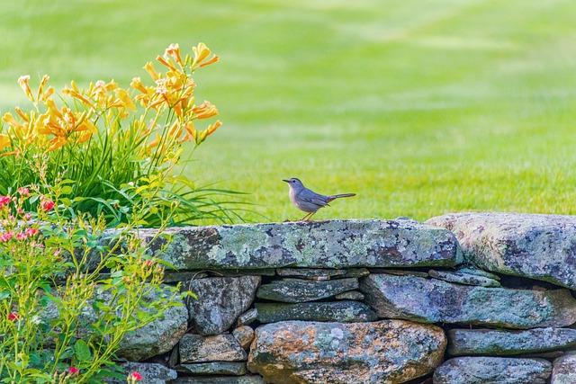 Sur les traces des jardins du Moyen Âge
