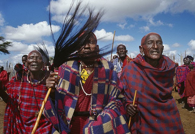 Buchu : herbe miracle et plante indigène d’Afrique du Sud