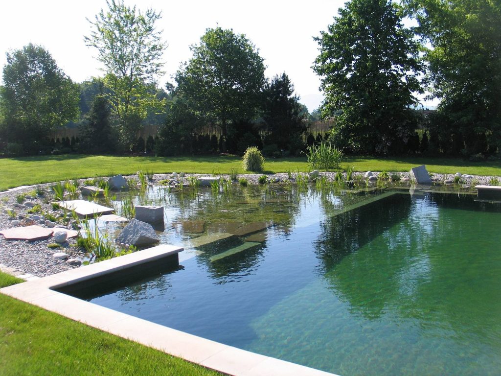 Une piscine naturelle pour une baignade au coeur de la nature 