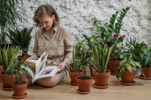 Les plantes sont de joyeuses amies pour les personnes vivant seules