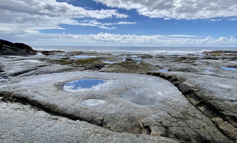 Le sel de table ou le sel de mer : lequel est le meilleur pour la santé ?