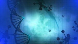 Certains chercheurs craignent que le molnupiravir de Merck ne provoque des mutations dans l’ADN