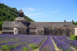 Le parcours de la formation scolaire, des druides à la Renaissance