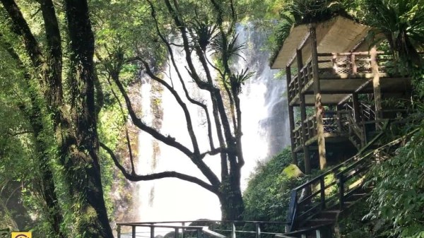 La fascinante zone de loisirs de la forêt nationale de Manyueyuan à Taïwan