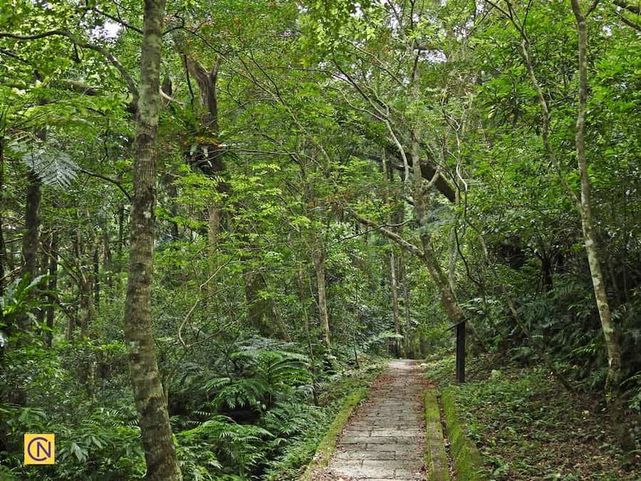 La fascinante zone de loisirs de la forêt nationale de Manyueyuan à Taïwan