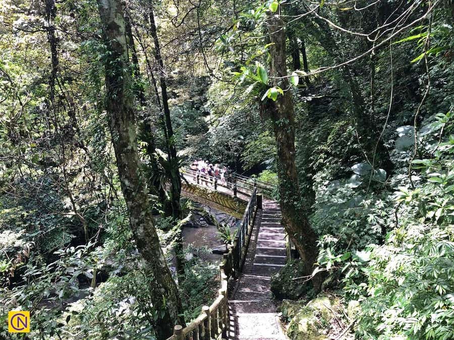 La fascinante zone de loisirs de la forêt nationale de Manyueyuan à Taïwan