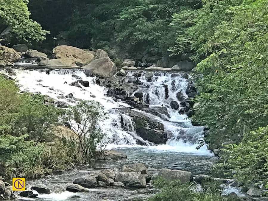 La fascinante zone de loisirs de la forêt nationale de Manyueyuan à Taïwan