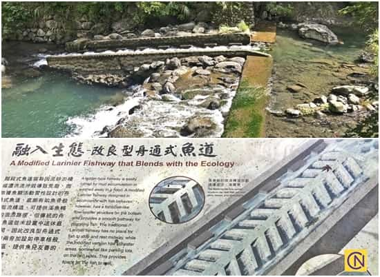 La fascinante zone de loisirs de la forêt nationale de Manyueyuan à Taïwan