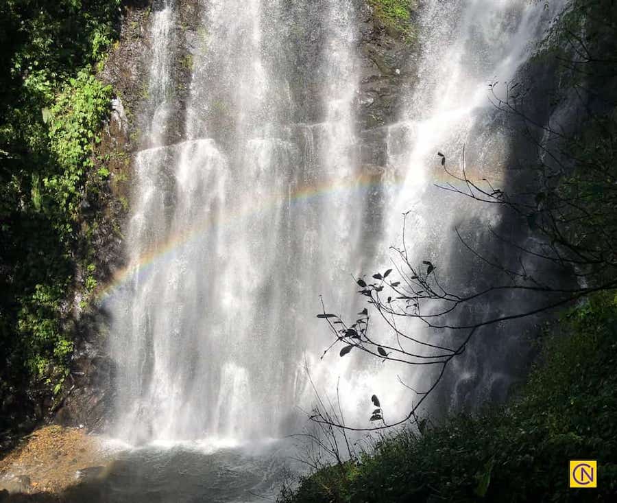 La fascinante zone de loisirs de la forêt nationale de Manyueyuan à Taïwan