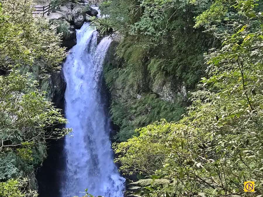 La fascinante zone de loisirs de la forêt nationale de Manyueyuan à Taïwan