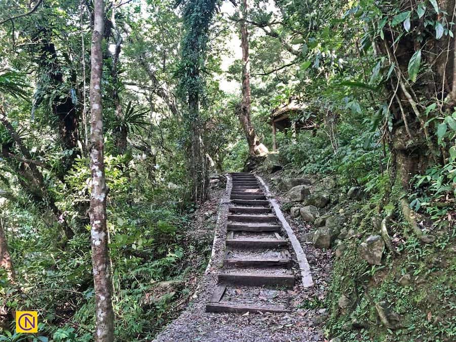 La fascinante zone de loisirs de la forêt nationale de Manyueyuan à Taïwan