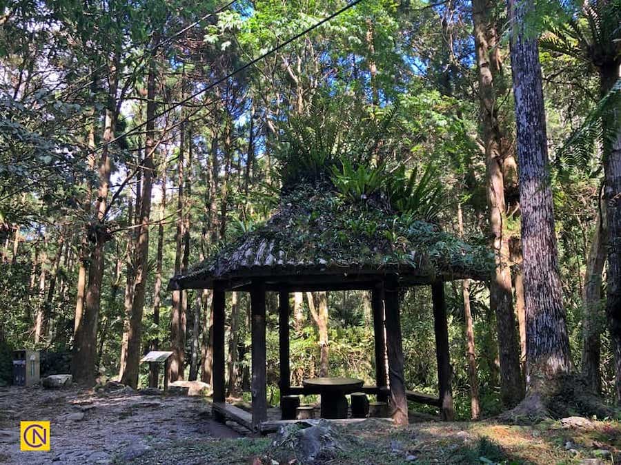 La fascinante zone de loisirs de la forêt nationale de Manyueyuan à Taïwan