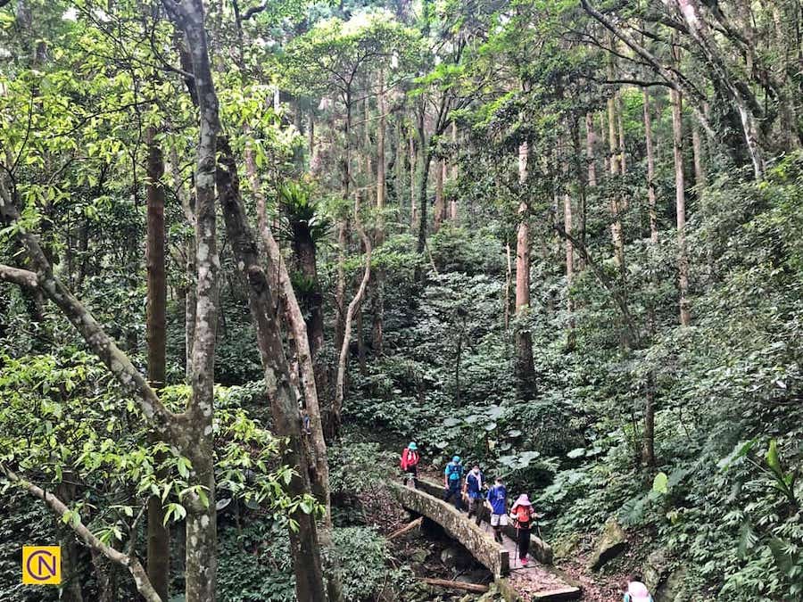 La fascinante zone de loisirs de la forêt nationale de Manyueyuan à Taïwan