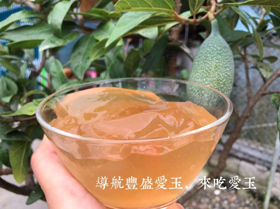 Connaissez-vous l’aiyu, cette plante qui ne pousse qu’à Taïwan