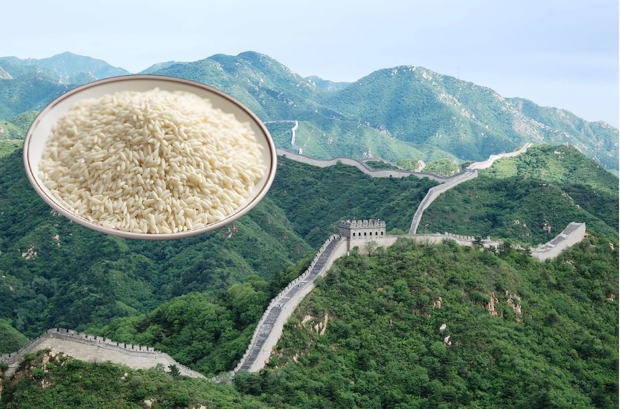 La Grande Muraille de Chine est restée intacte pendant 1 000 ans grâce au riz gluant