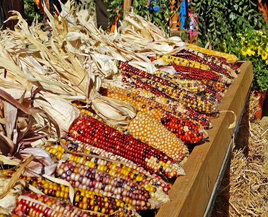 Légendes amérindiennes : soyez reconnaissants pour les cadeaux de la nature