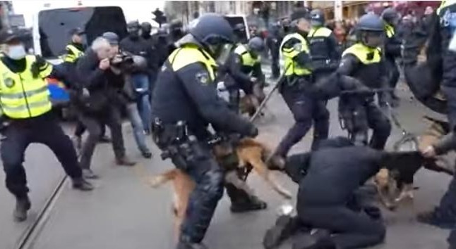 Un député européen condamne les violences policières contre les manifestants pacifiques