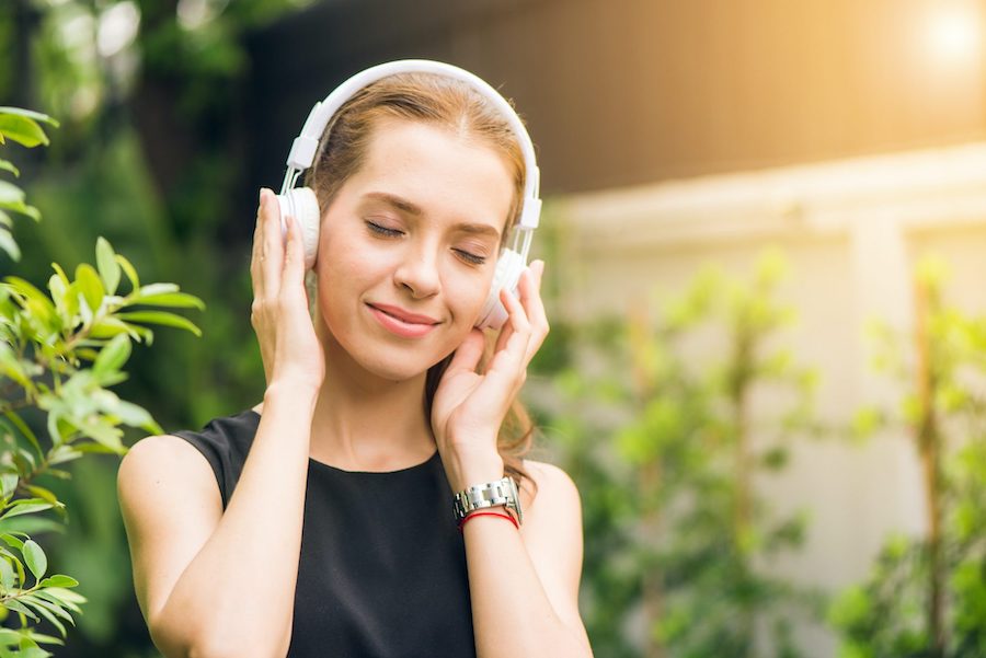 Quand les plantes communiquent à travers la musique