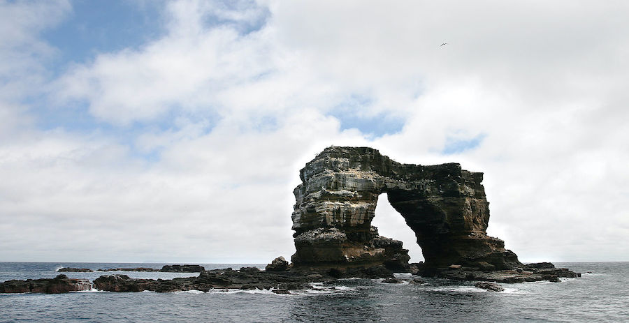 Théorie de l’évolution : l’Arche de Darwin effondrée aux Galápagos
