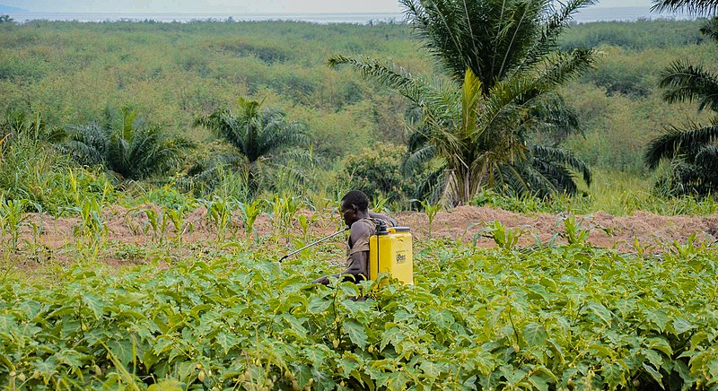 La pollution chimique a dépassé le seuil de sécurité pour l’humanité