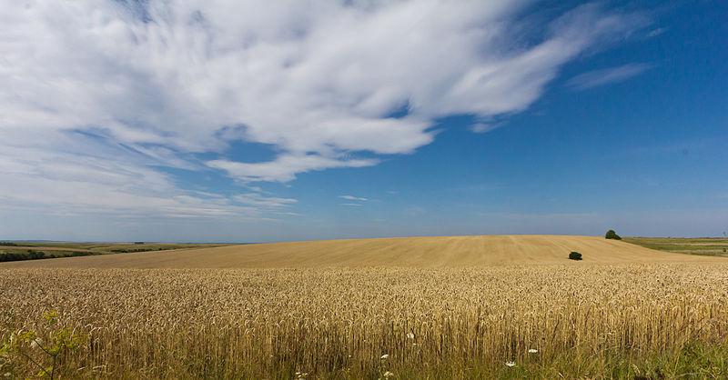 La sécurité alimentaire mondiale menacée par une méga-sécheresse aux États-Unis et par le conflit en Ukraine