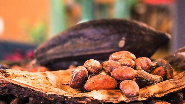 À la découverte d’anciennes confiseries, chocolateries, et pâtisseries de tradition française