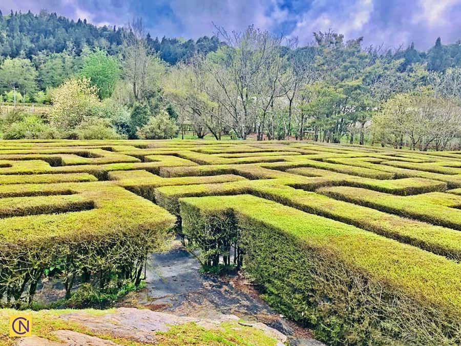 La ferme expérimentale de Mei Feng Highland, une ferme saisissante dans les hautes terres de Taïwan