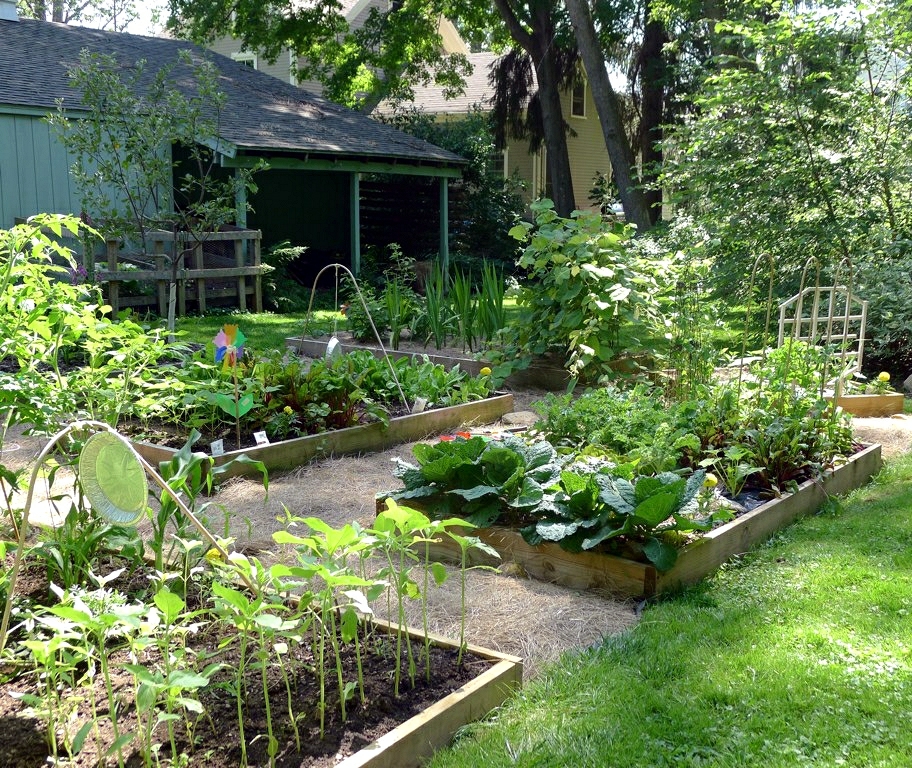 Guide pratique pour réaliser un jardin, étape par étape
