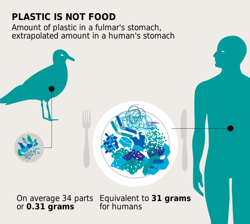 Plastique : nous ingérons l’équivalent d’une carte de crédit chaque semaine