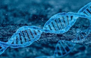 Alimentation et ADN : nos gènes sont-ils affectés par ce que nous mangeons