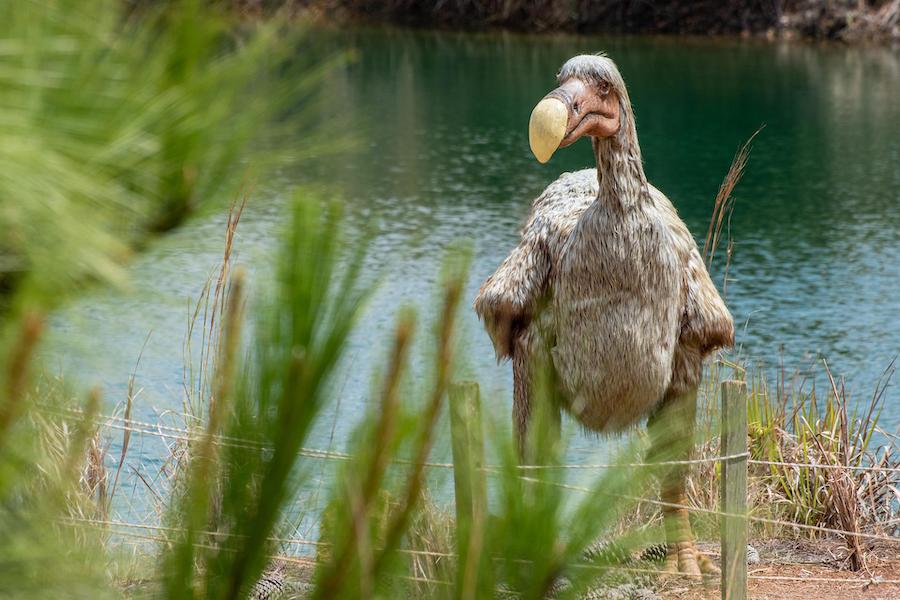 Les fondements actuels sur la conservation de la nature menacent-ils l’environnement 