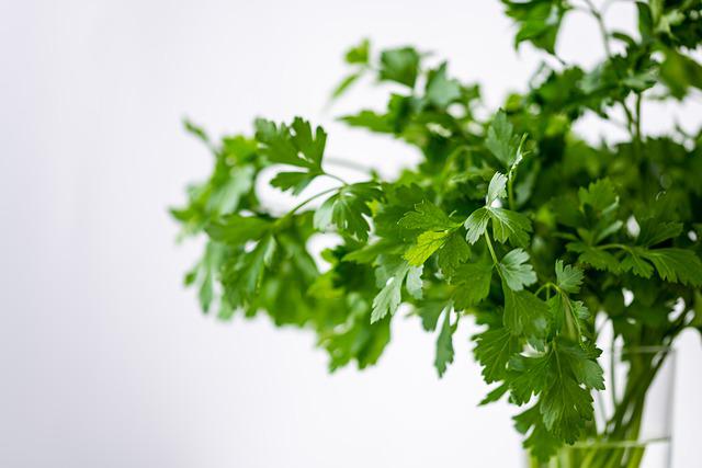 Recette anti-gaspillage : acheter, conserver et utiliser les légumes-feuilles