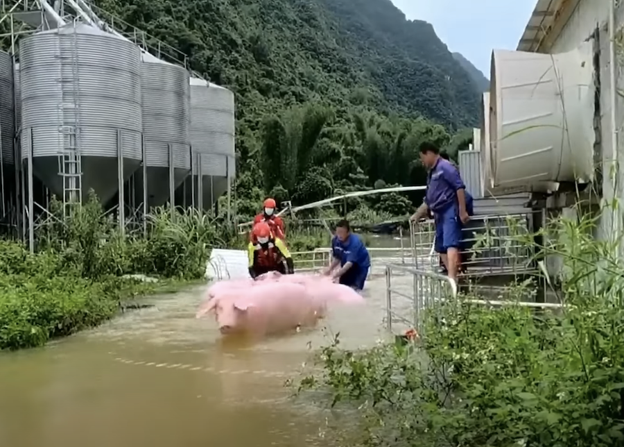 Des pluies torrentielles ont provoqué d’importantes inondations en Chine, submergeant les routes et piégeant les habitants 