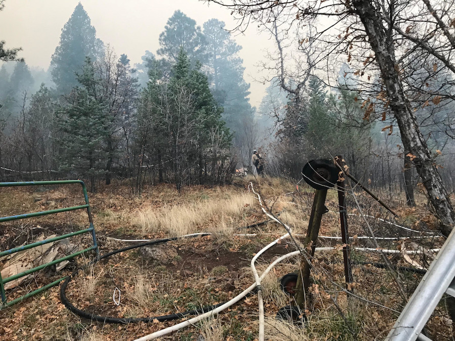 Le Service forestier des États-Unis a admis avoir déclenché le plus grand incendie de forêt de l’histoire du Nouveau-Mexique