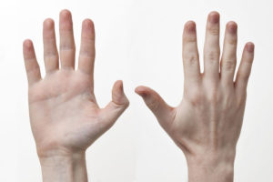 La main : un ancien dispositif numérique utilisé comme moyen mnémotechnique