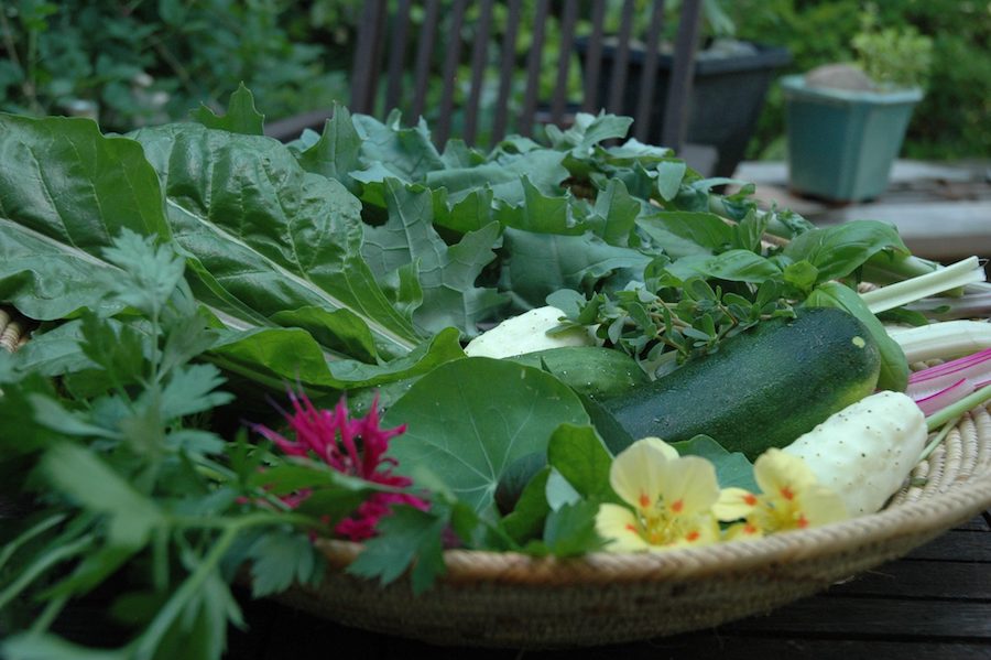 Sept délicieuses salades d’été réalisées avec des produits de saison