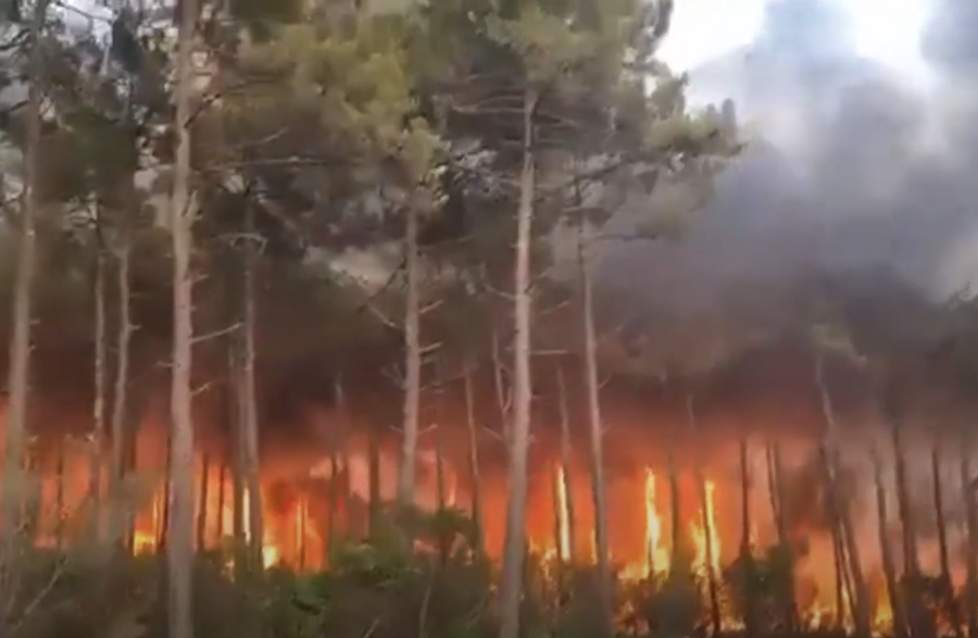 Europe : des feux de forêt font exploser des obus datant de la Première Guerre mondiale