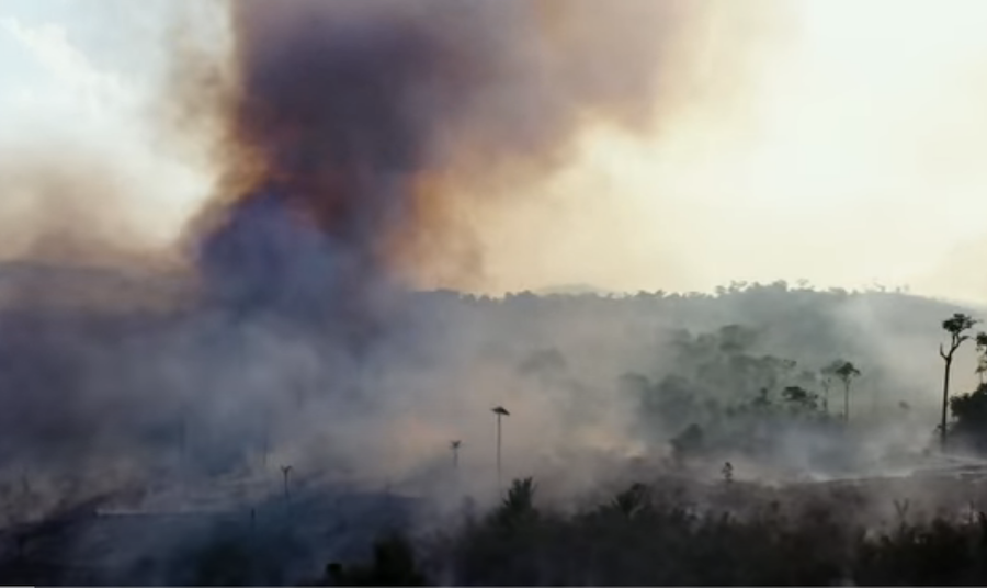 Un nouveau rapport révèle comment les terres non attribuées sont exploitées dans la forêt tropicale brésilienne