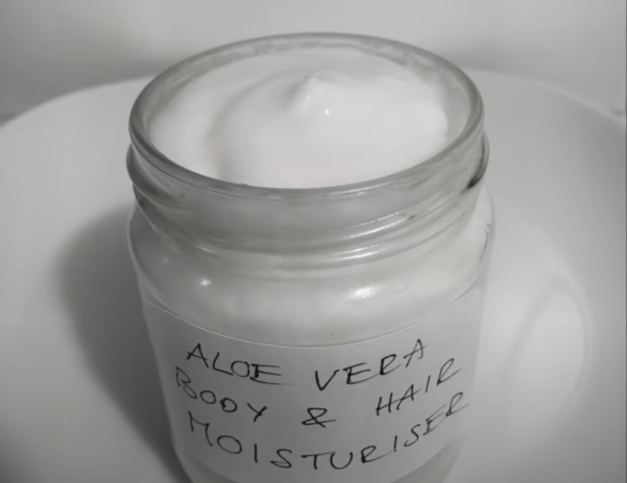 Aloe Vera : le guérisseur silencieux et ses merveilleux bienfaits pour la santé